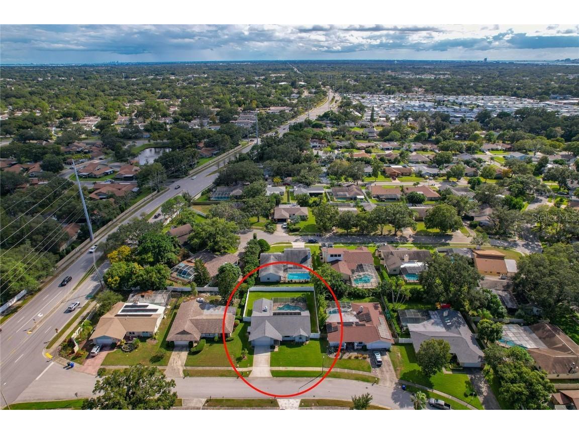 1569 Burnham Lane Dunedin FL 34698 TB8433835 image58