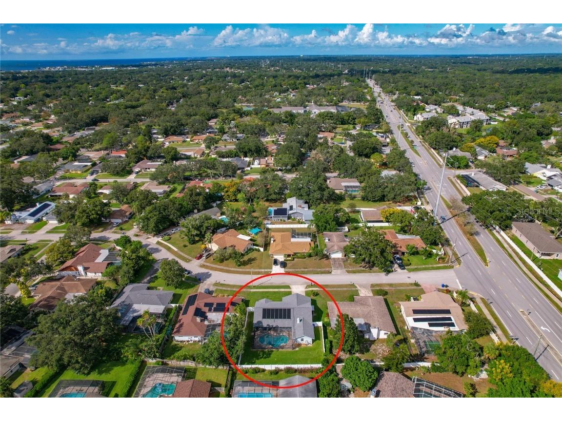 1569 Burnham Lane Dunedin FL 34698 TB8433835 image59