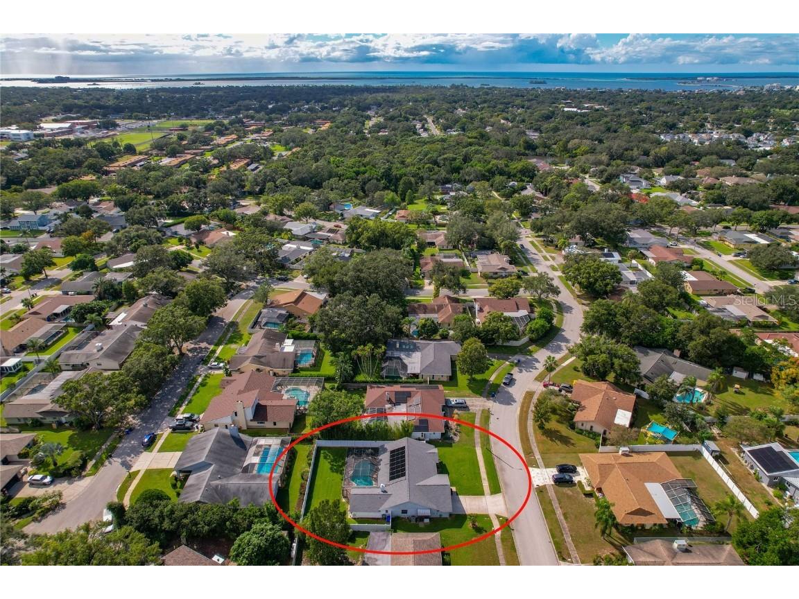 1569 Burnham Lane Dunedin FL 34698 TB8433835 image60