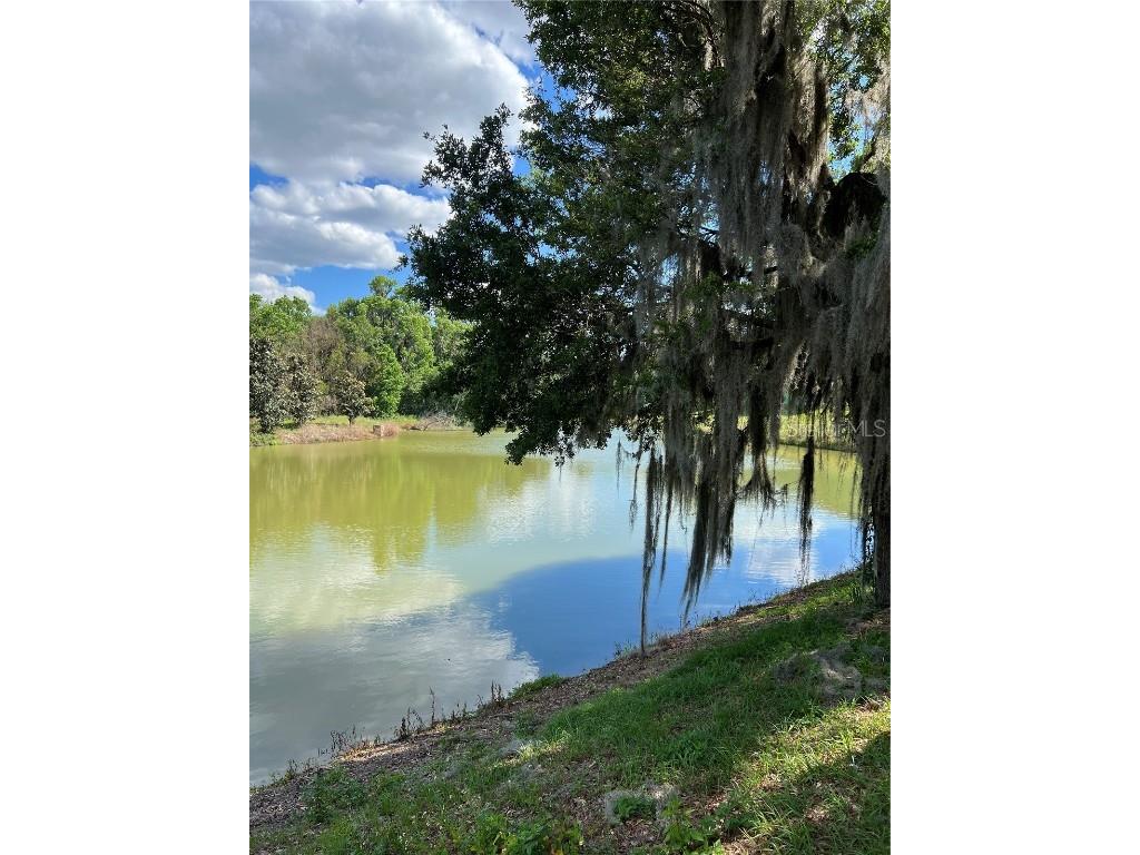 1569 NW 29th Road #3 Gainesville FL 32605 GC528875 image14