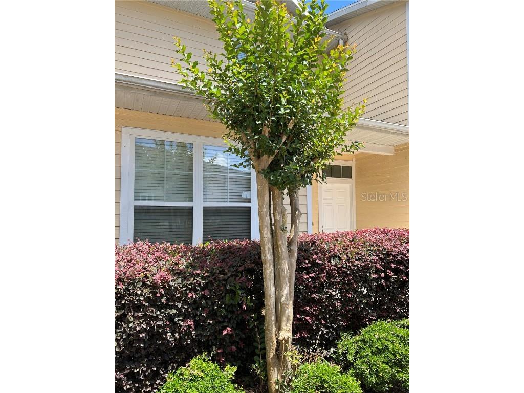 1569 NW 29th Road #3 Gainesville FL 32605 GC528875 image20