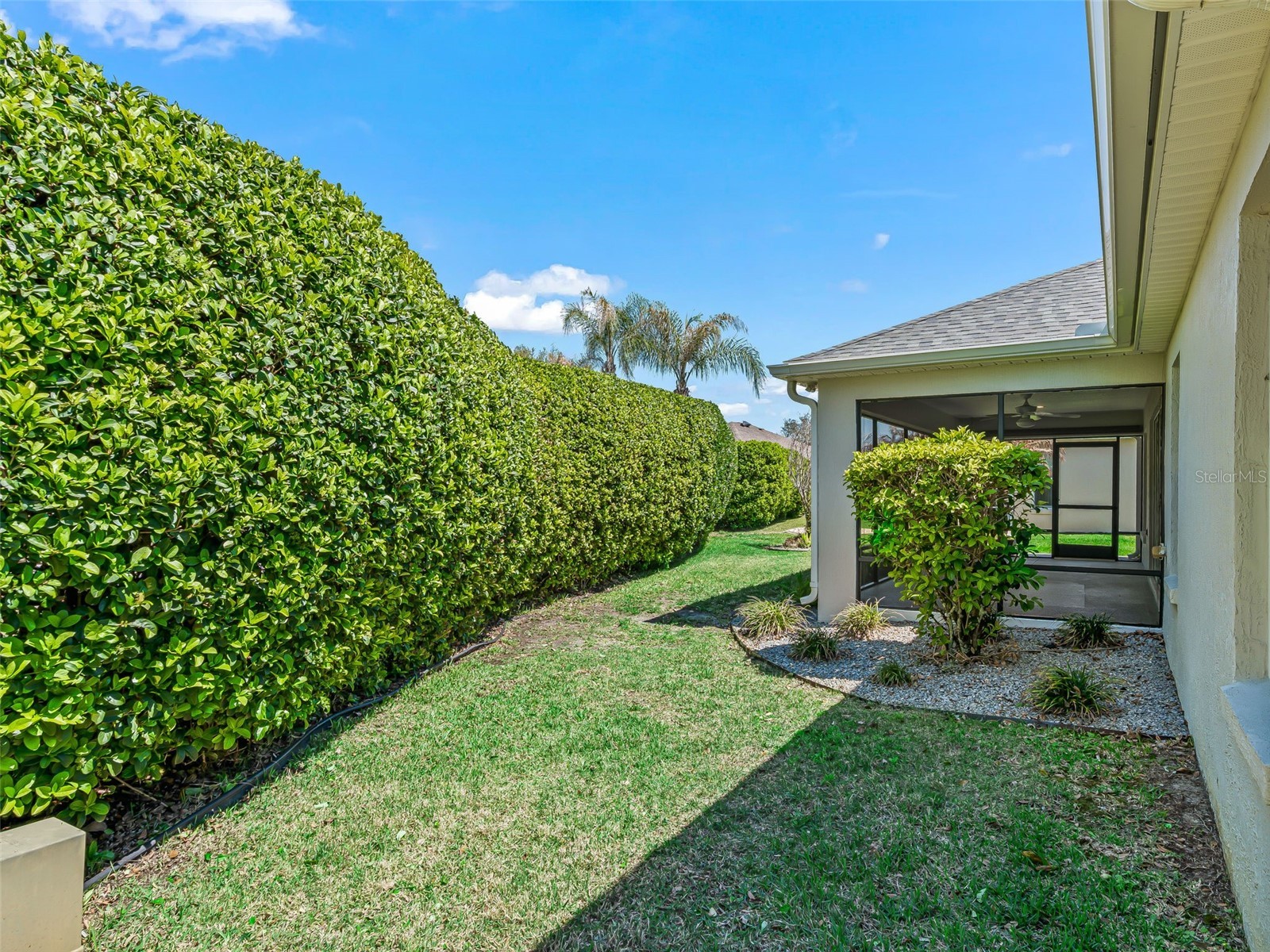 1569 Olar Court The Villages FL 32162 G5109908 image4