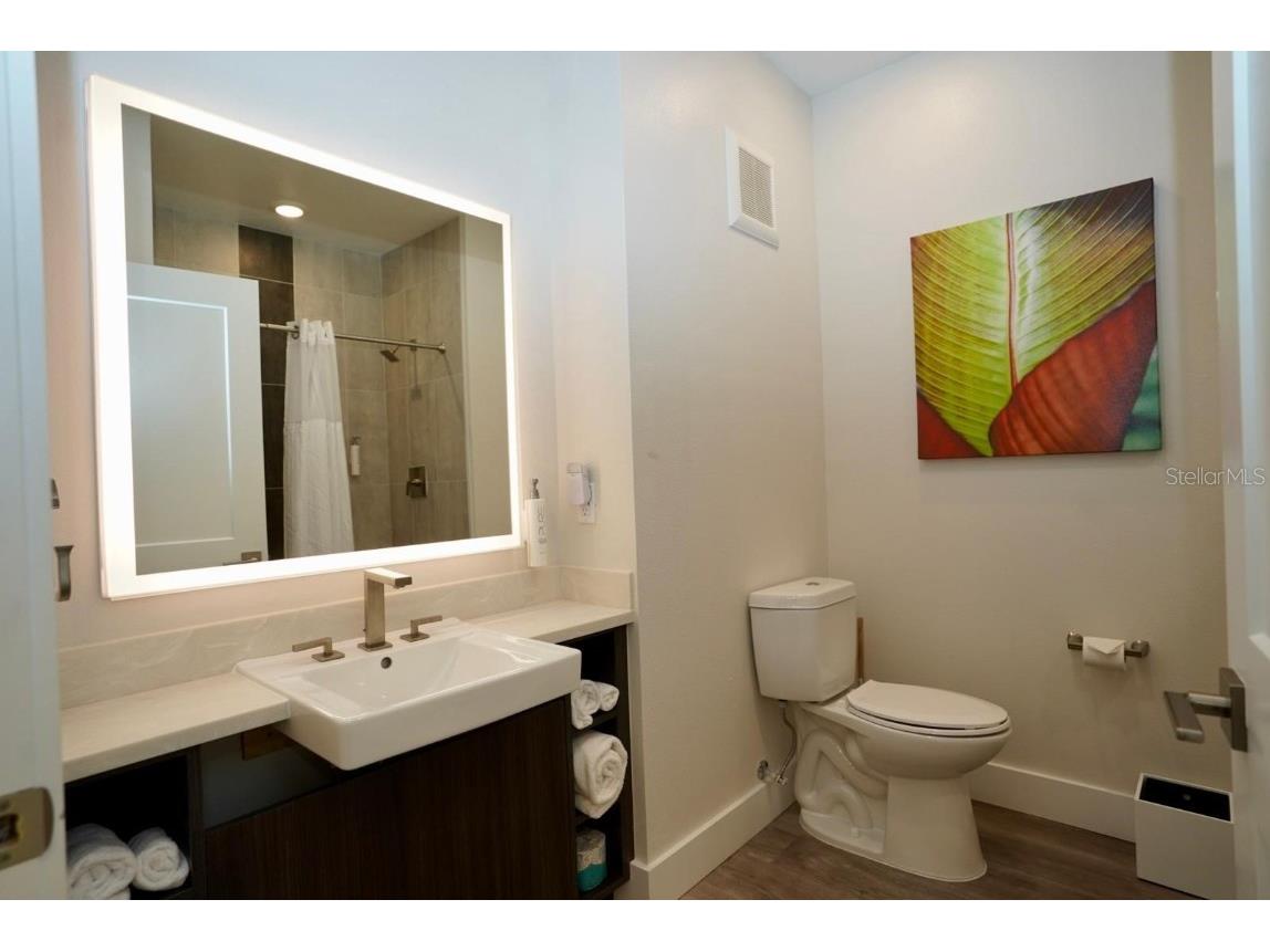 15695 Grove Resort Avenue #4303 Winter Garden FL 34787 TB8349585 image7