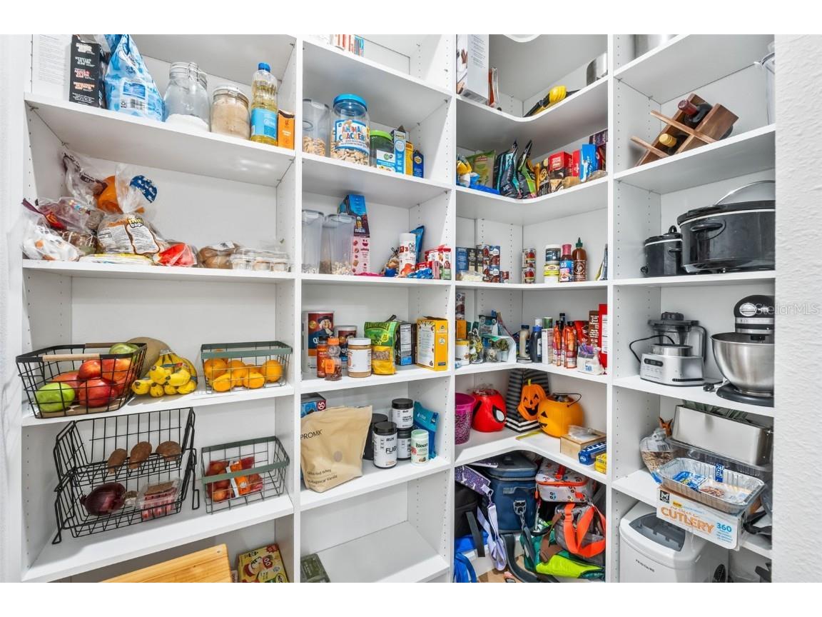 157 Caladium Avenue Lake Alfred FL 33850 O6356041 image27