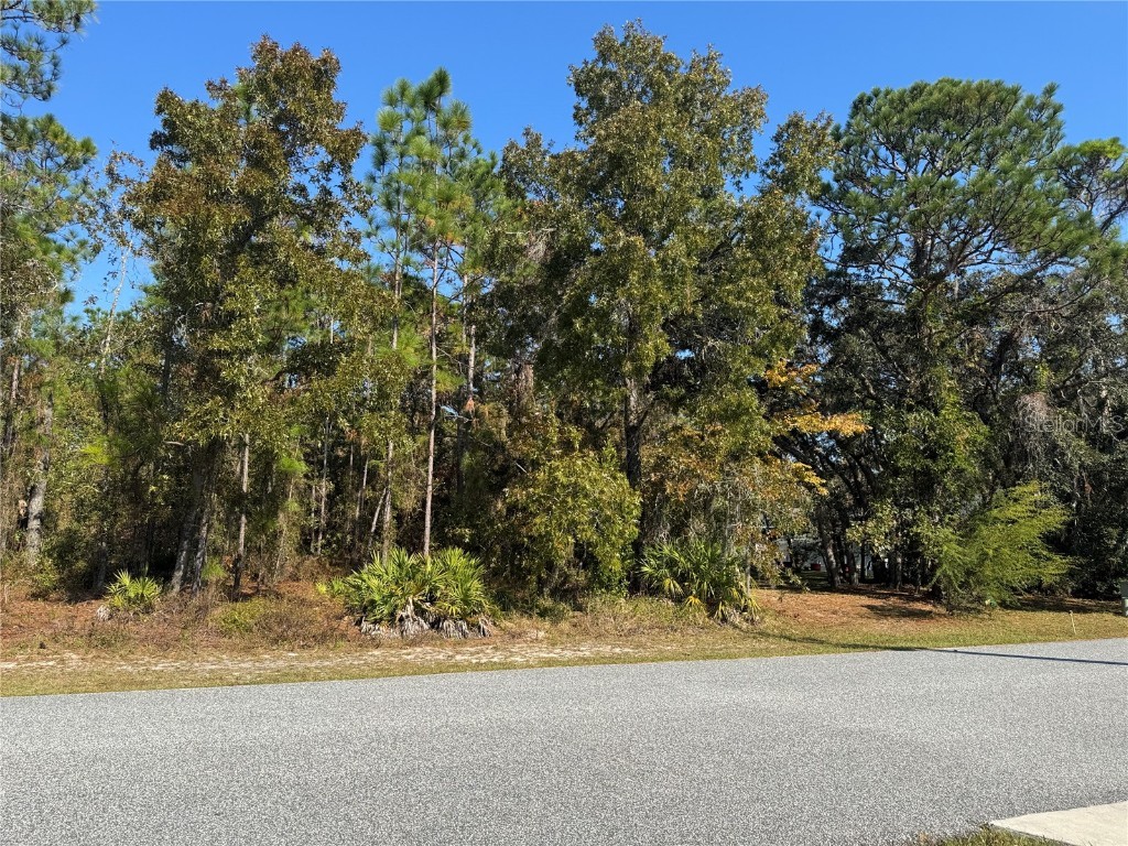 157 Daisy Street Homosassa FL 34446 W7881072 image2