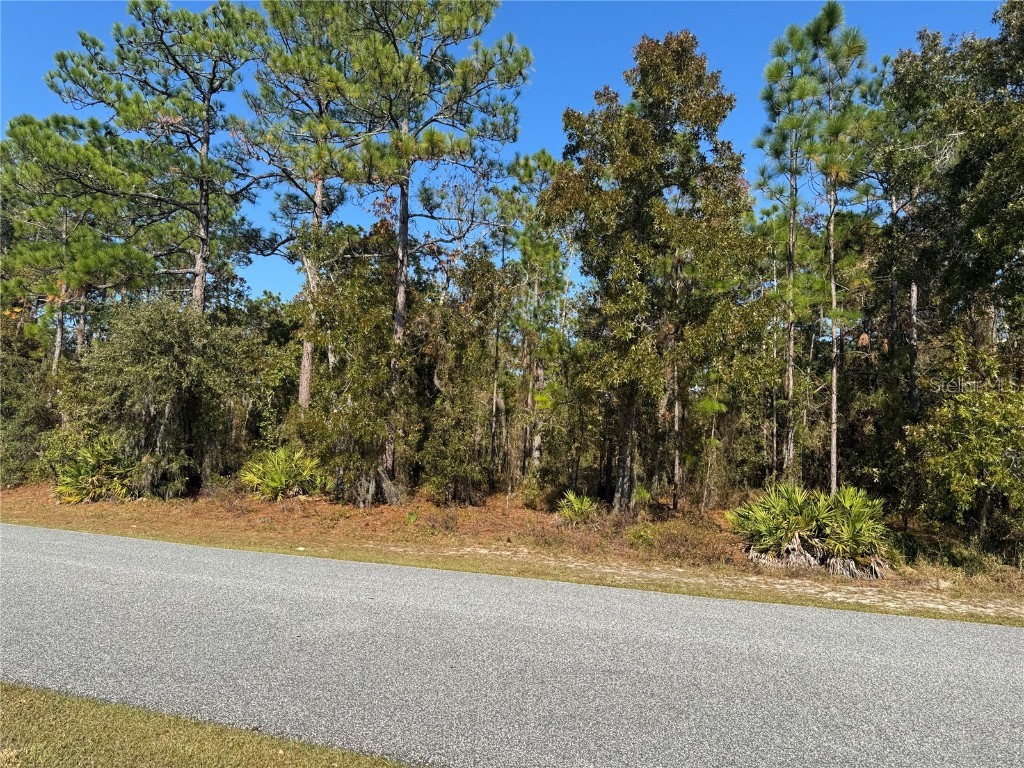 157 Daisy Street Homosassa FL 34446 W7881072 image3