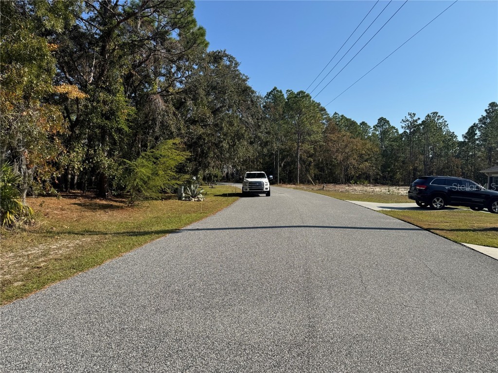 157 Daisy Street Homosassa FL 34446 W7881072 image4