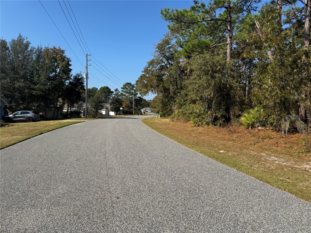 157 Daisy Street Homosassa FL 34446 W7881072 image5