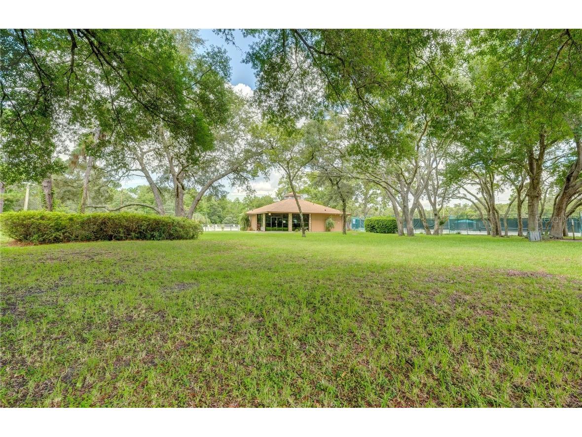 157 Daisy Street Homosassa FL 34446 W7881072 image6