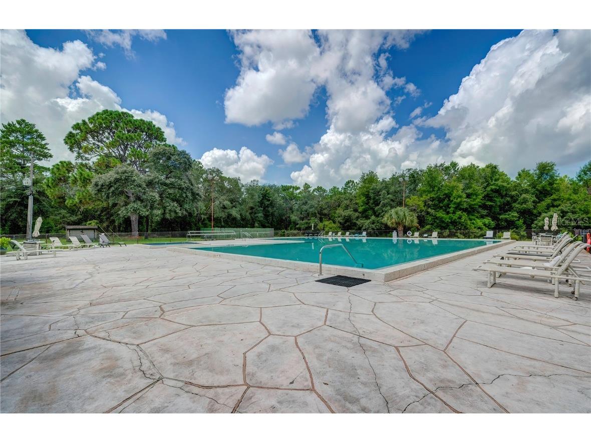 157 Daisy Street Homosassa FL 34446 W7881072 image8