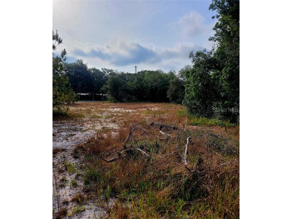 157 Deer Run Drive Davenport FL 33837 S5102675 image1