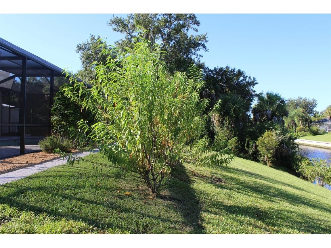 157 Hoffer Street Port Charlotte FL 33953 - APOLLO WATERWAY C7515757 image88