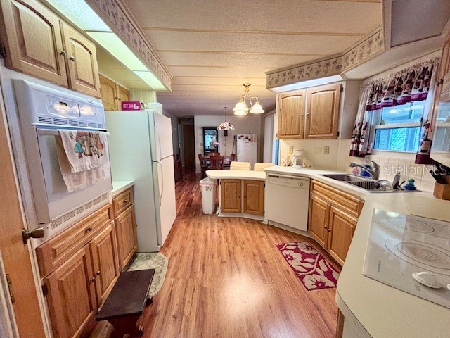 157 Royal Palm Drive Leesburg FL 34748 G5102516 image6