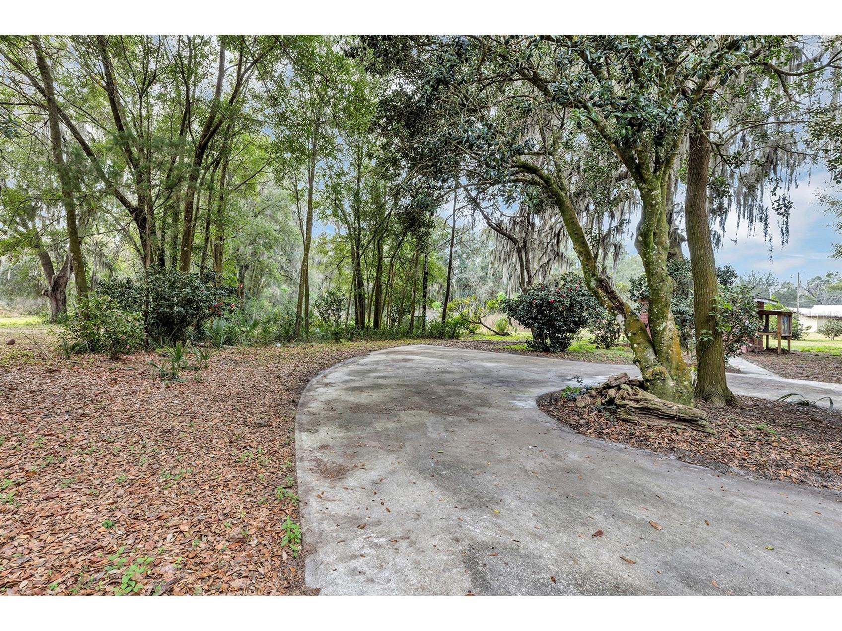 157 State Road 20 Palatka FL 32177 O6374599 image40