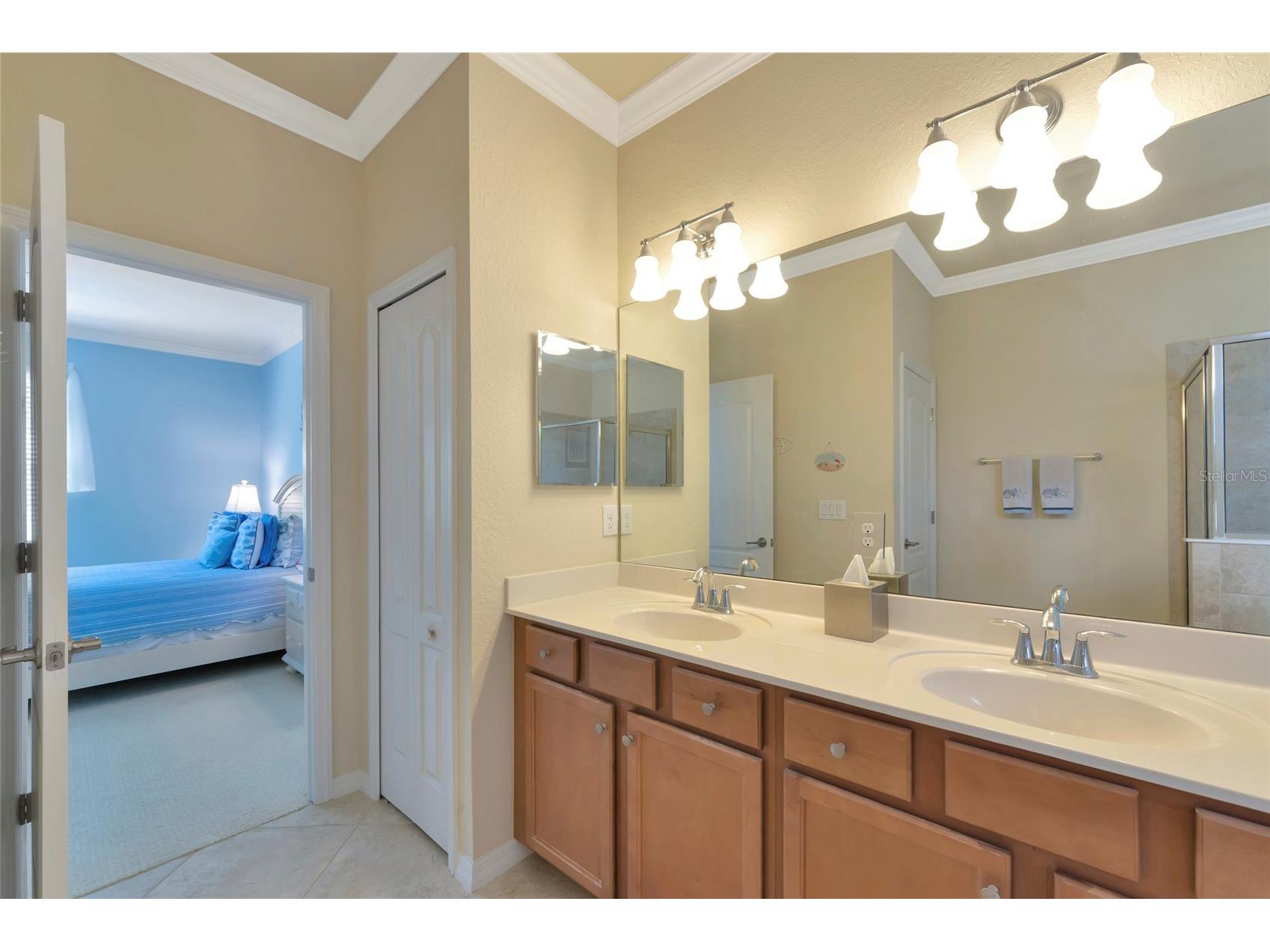 157 Wandering Wetlands Circle Bradenton FL 34212 A4690847 image19