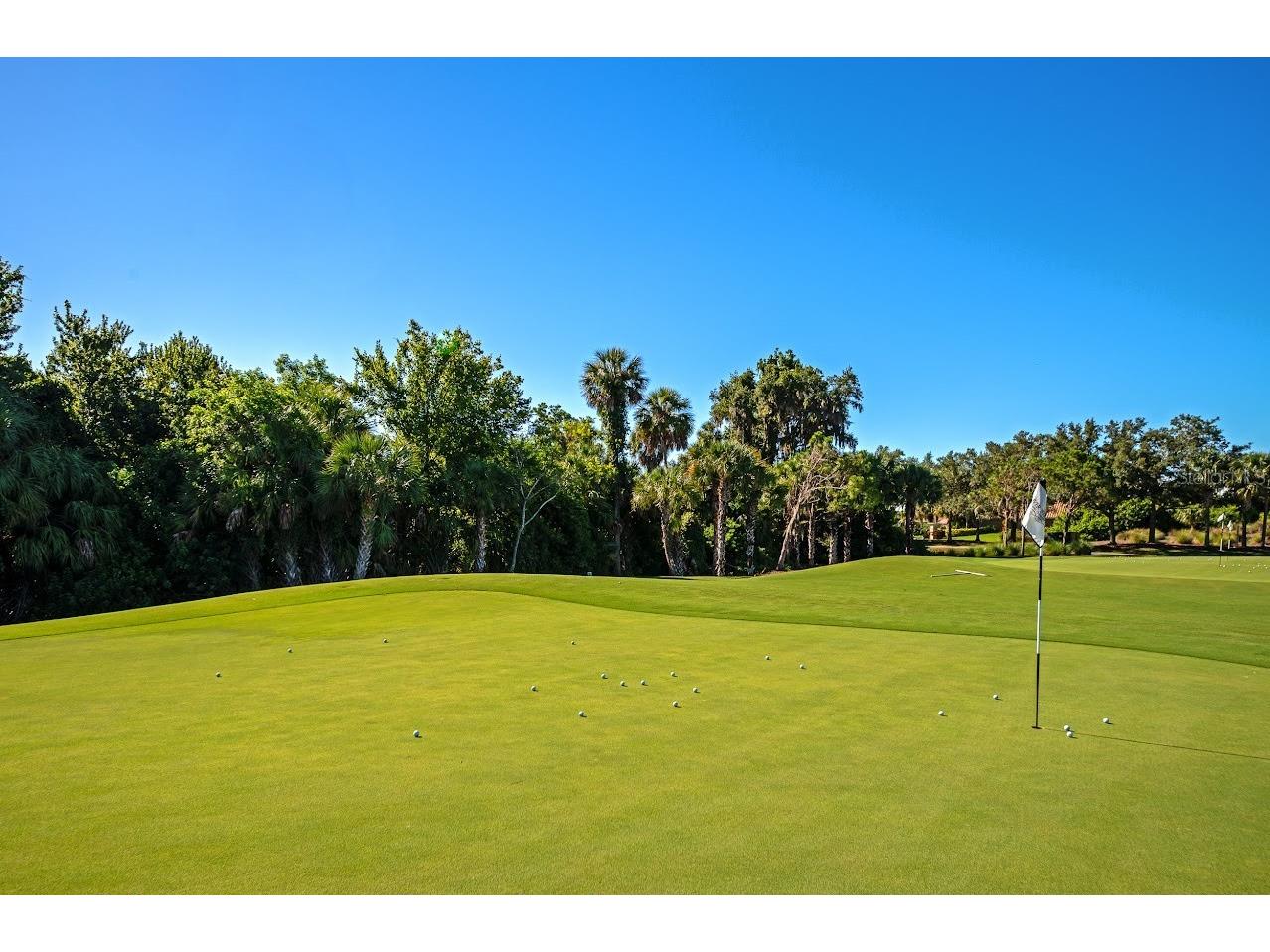 157 Wandering Wetlands Circle Bradenton FL 34212 A4690847 image30
