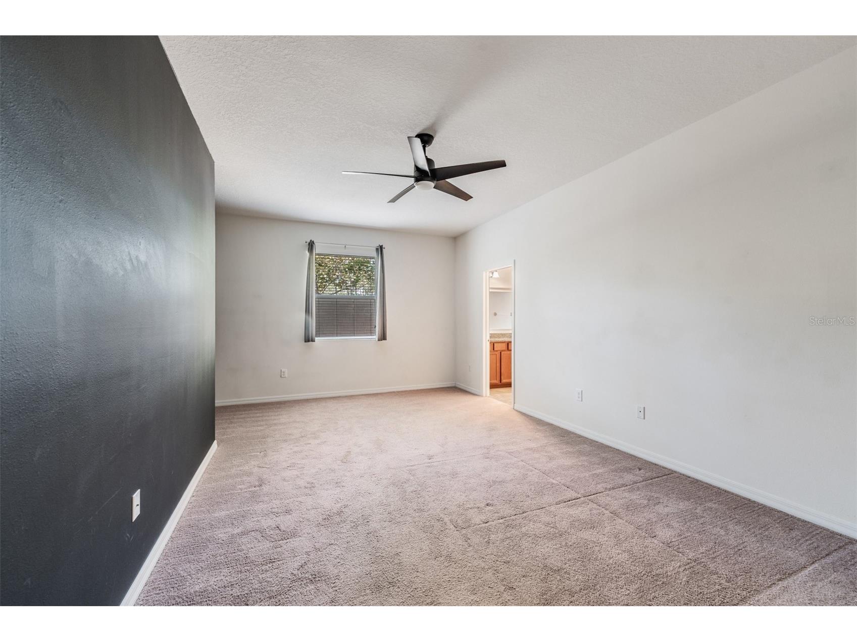 1570 Fox Grape Loop Lutz FL 33558 TB8445287 image15