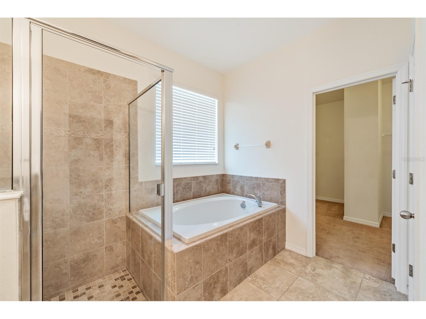 1570 Fox Grape Loop Lutz FL 33558 TB8445287 image17