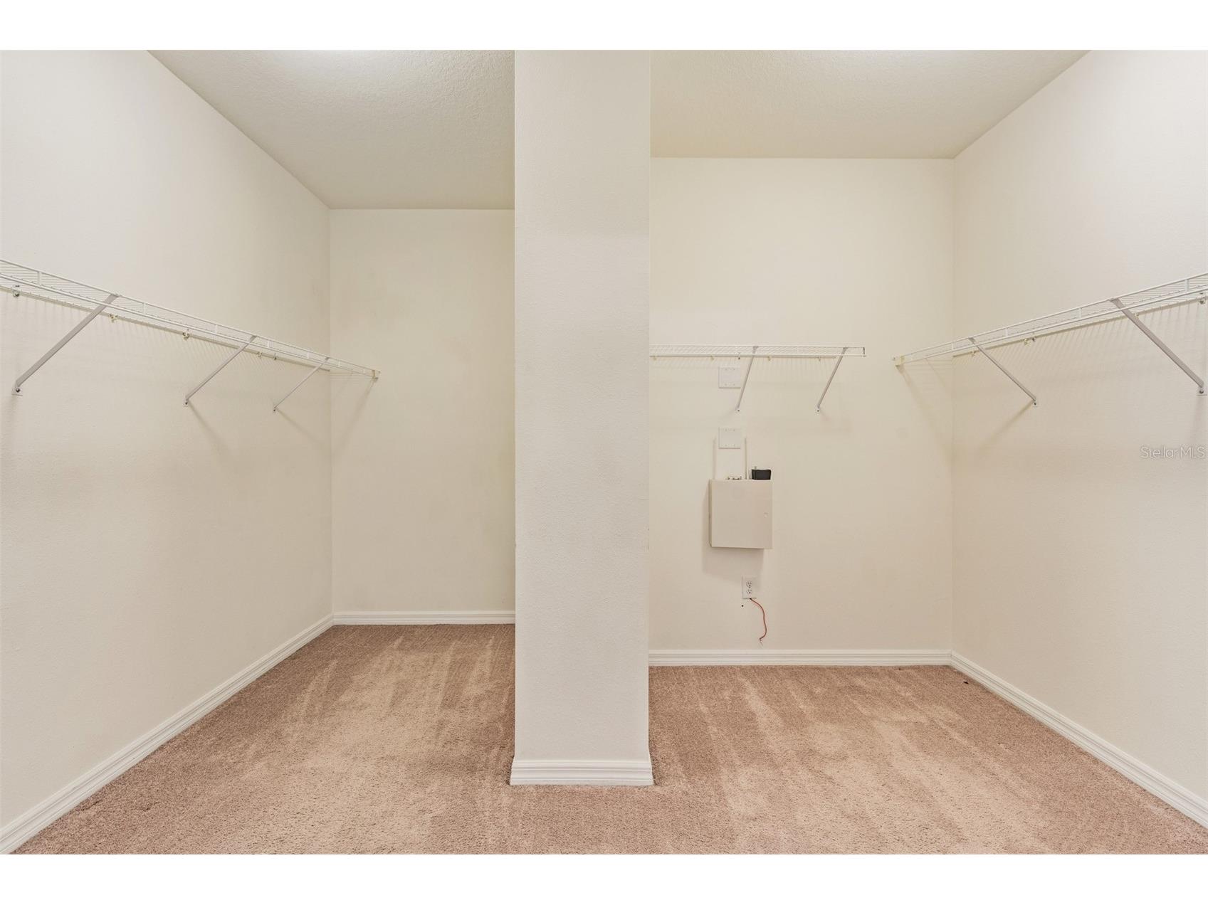 1570 Fox Grape Loop Lutz FL 33558 TB8445287 image18