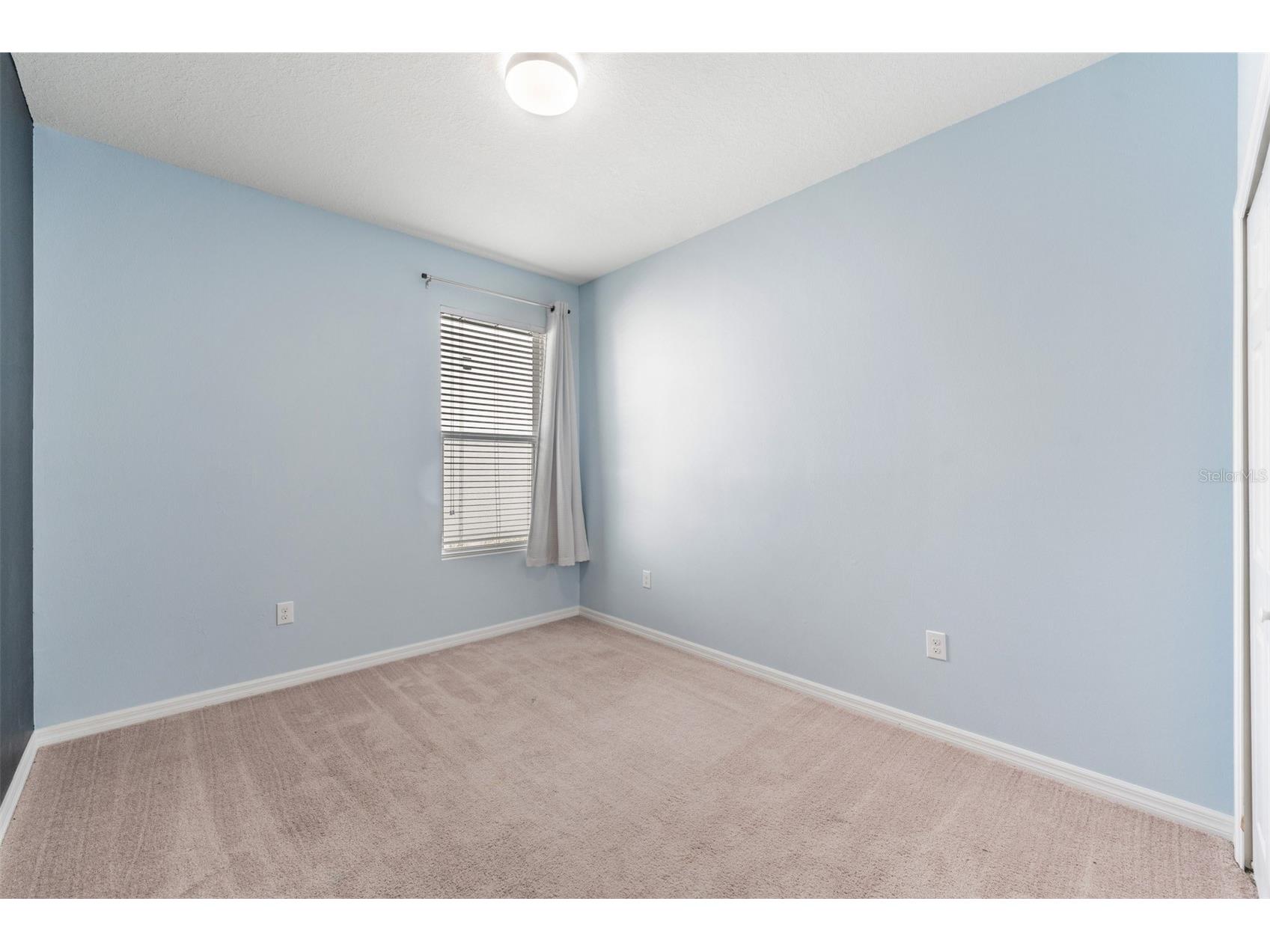 1570 Fox Grape Loop Lutz FL 33558 TB8445287 image21