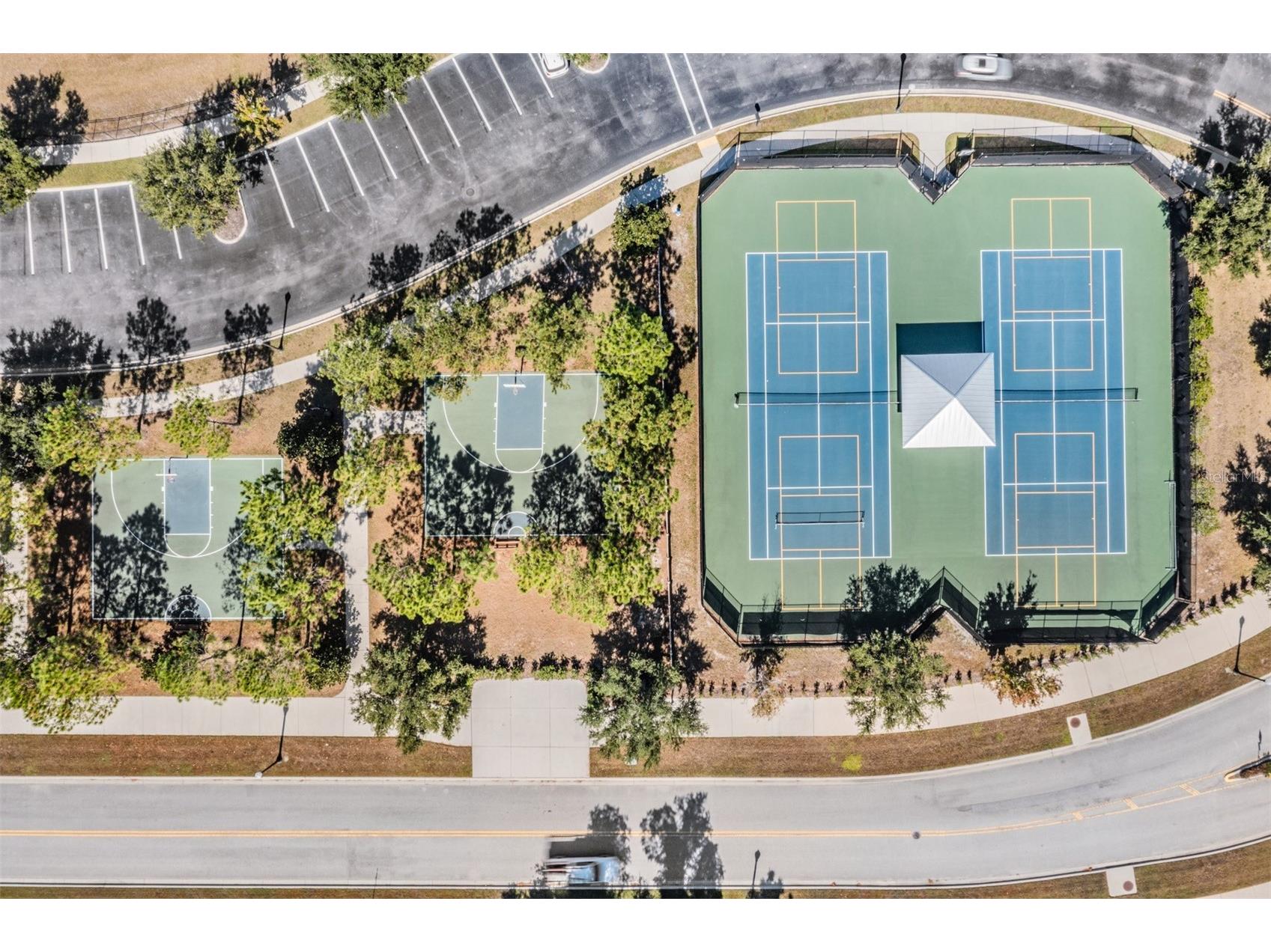 1570 Fox Grape Loop Lutz FL 33558 TB8445287 image31