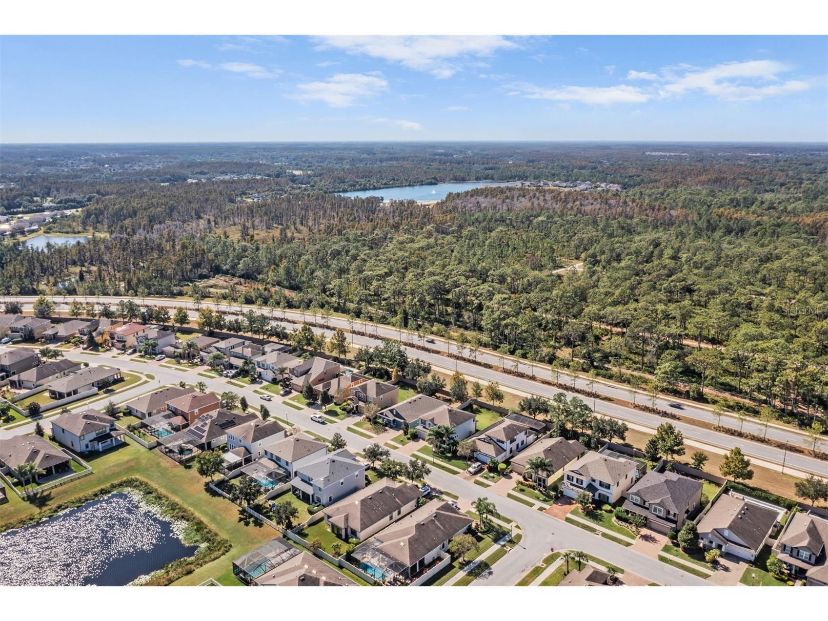 1570 Fox Grape Loop Lutz FL 33558 TB8445287 image34