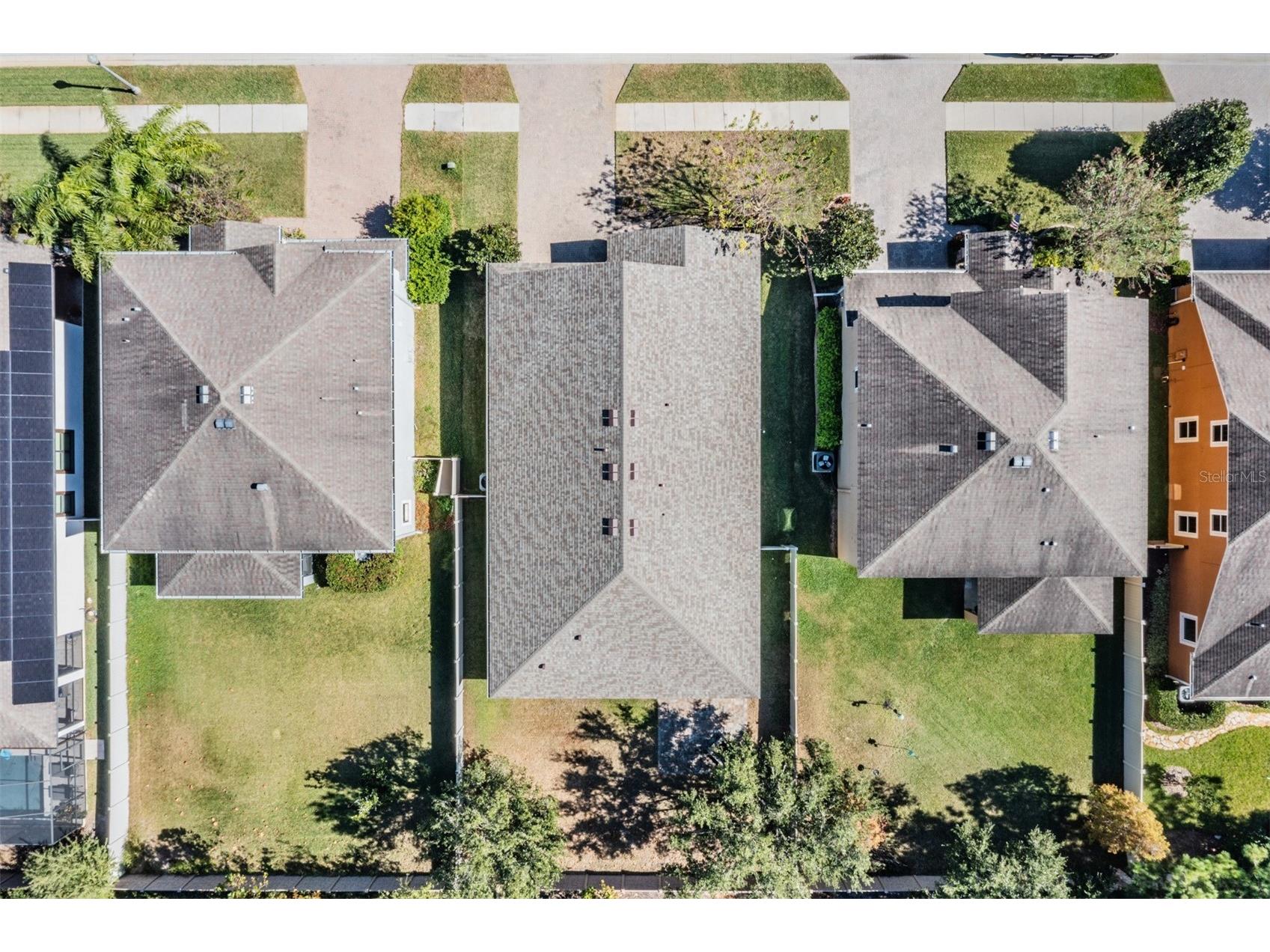 1570 Fox Grape Loop Lutz FL 33558 TB8445287 image39