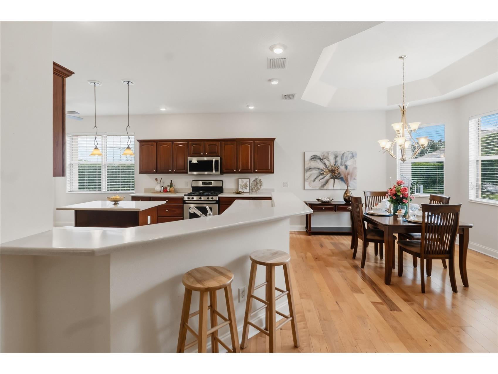 1570 Gifford Court The Villages FL 32162 G5113475 image8
