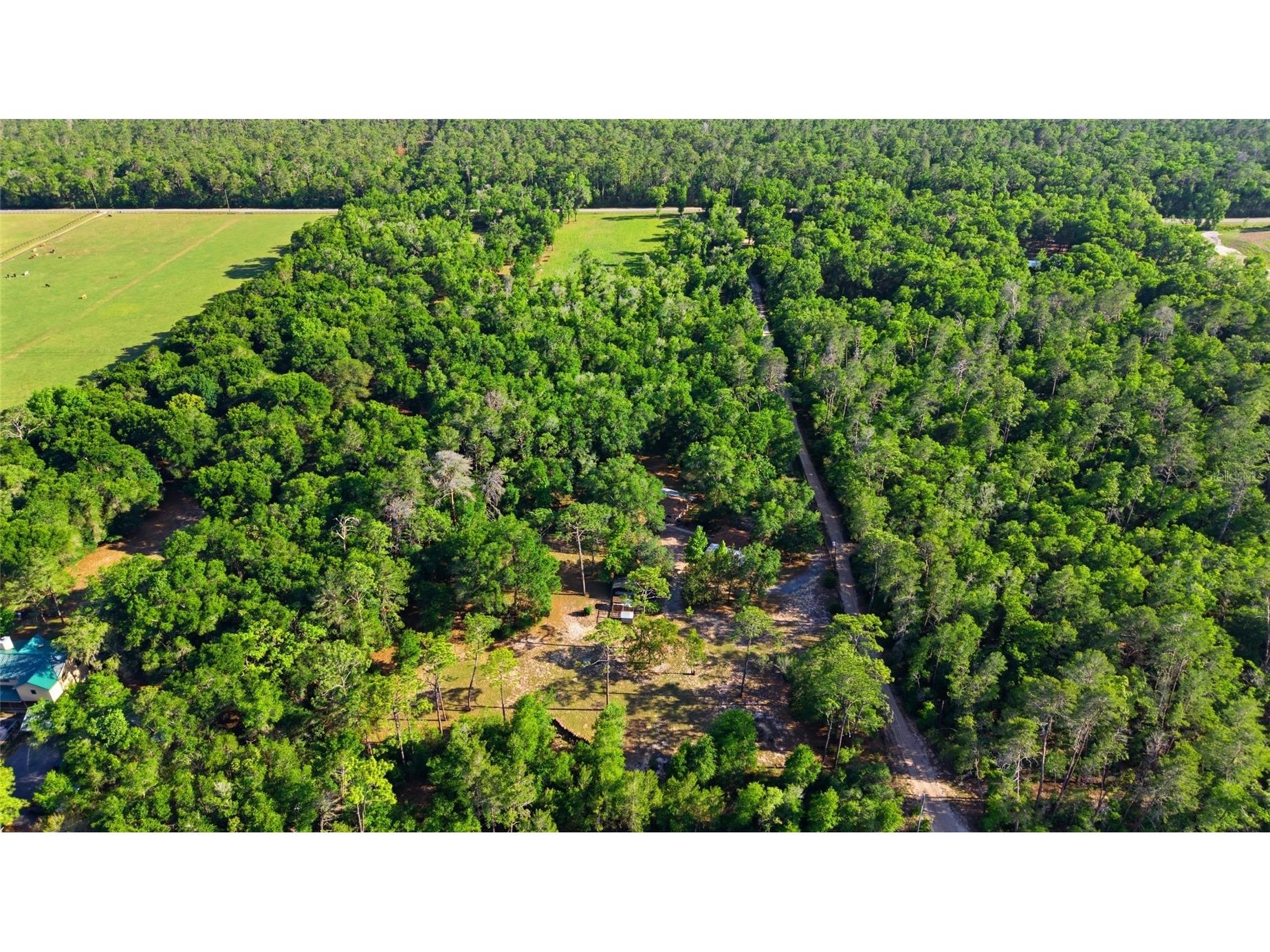 15700 Doe Trail Brooksville FL 34601 TB8500654 image38