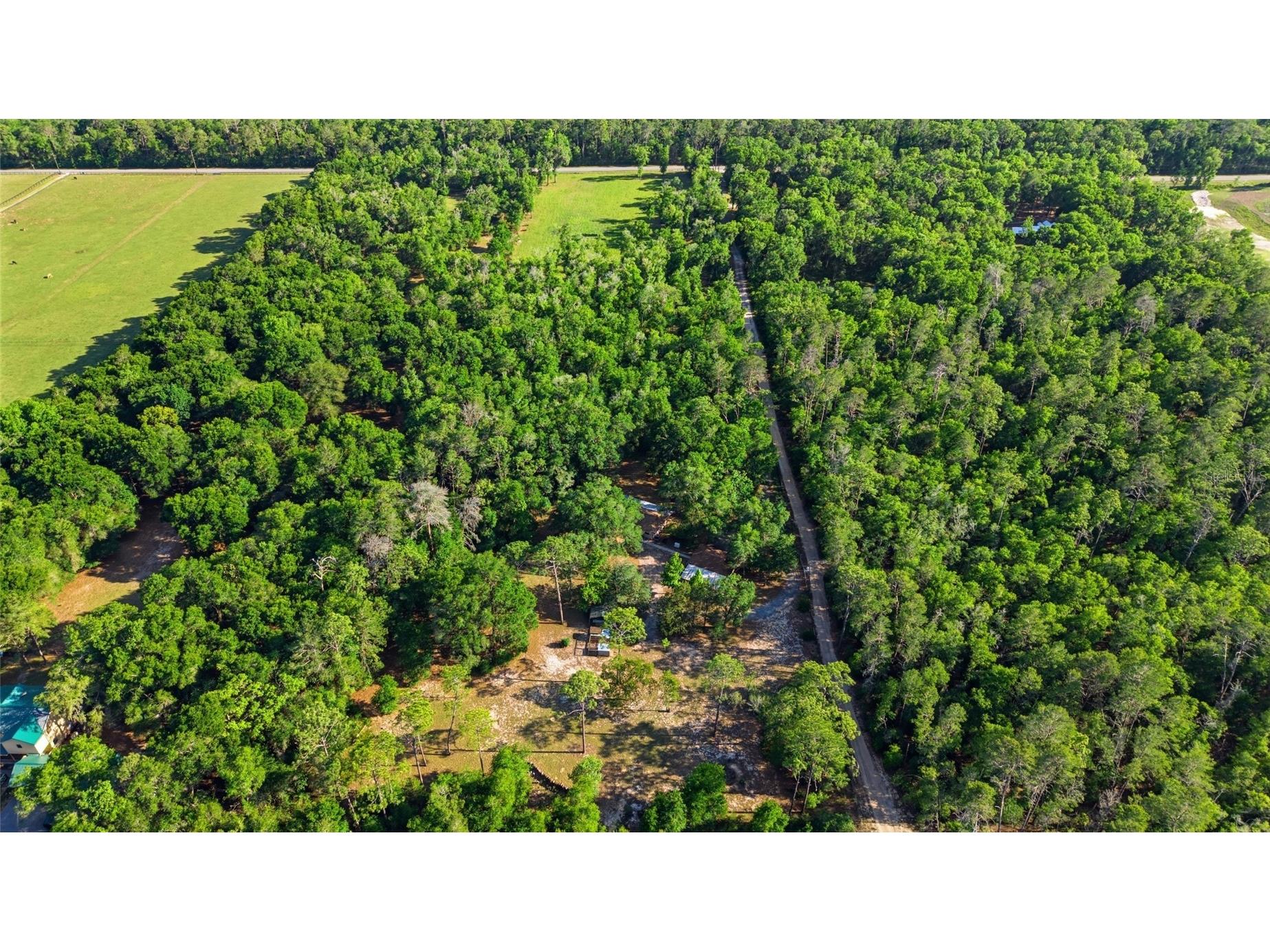 15700 Doe Trail Brooksville FL 34601 TB8500654 image39