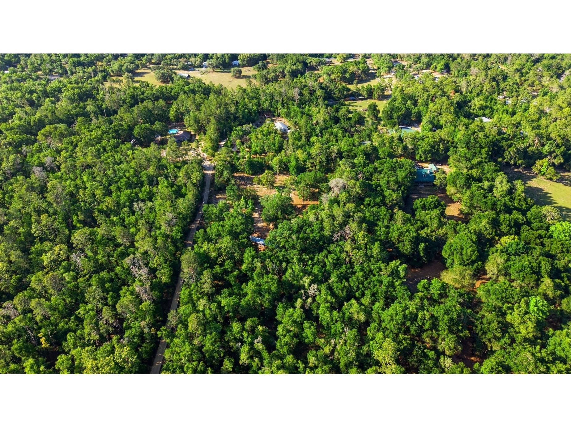 15700 Doe Trail Brooksville FL 34601 TB8500654 image41