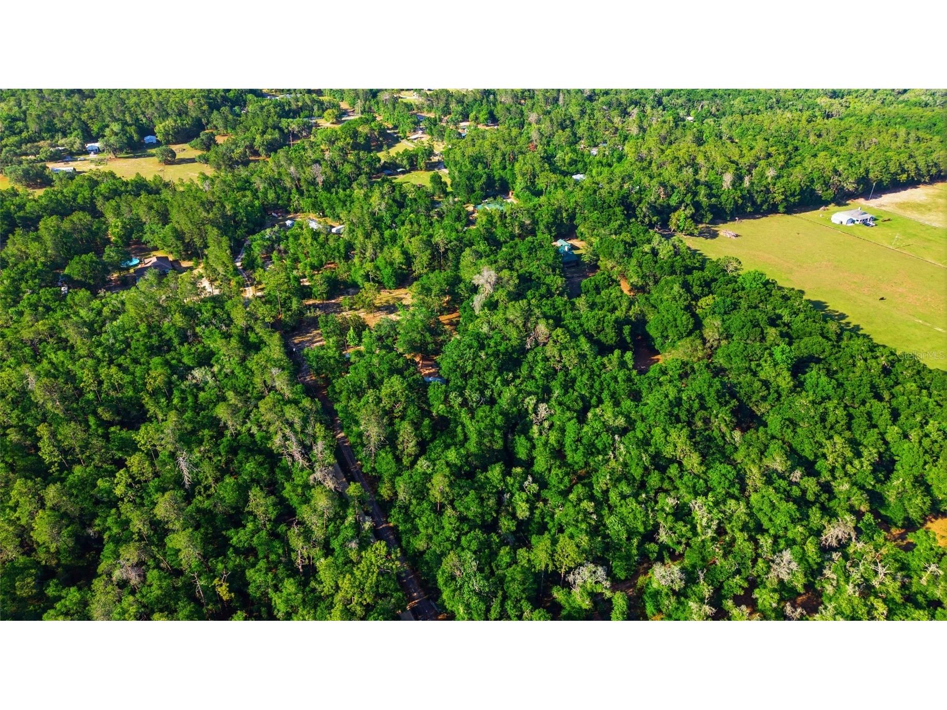 15700 Doe Trail Brooksville FL 34601 TB8500654 image42