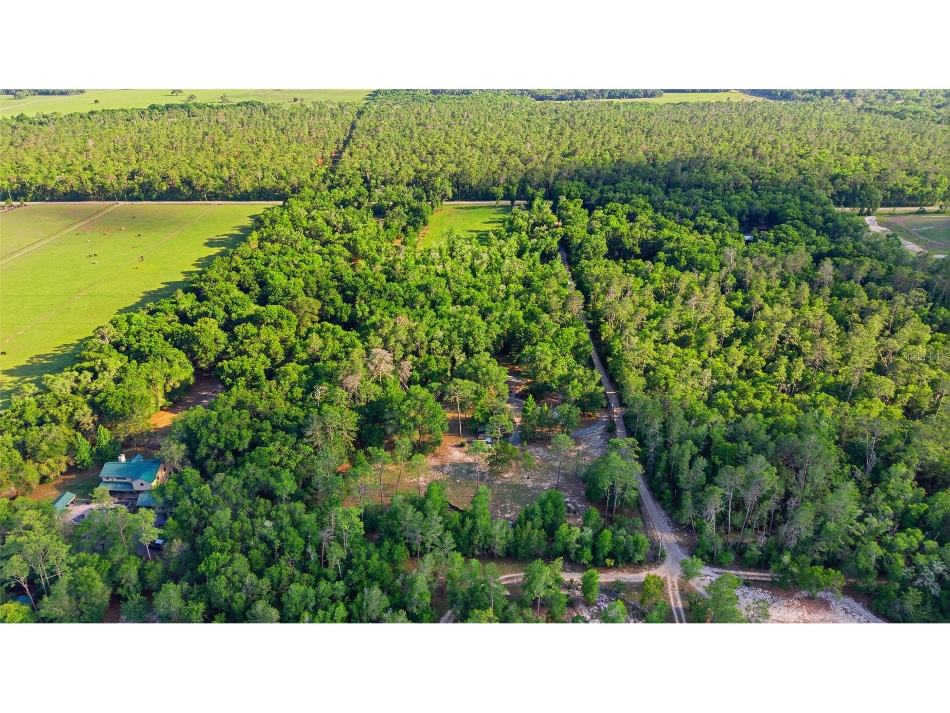 15700 Doe Trail Brooksville FL 34601 TB8500654 image45