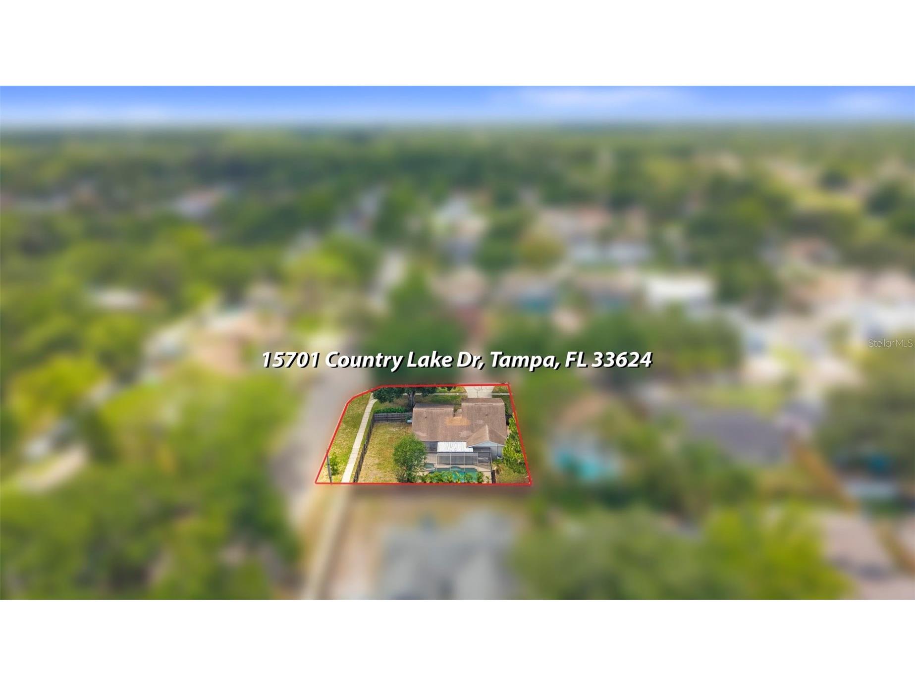 15701 Country Lake Drive Tampa FL 33624 TB8520696 image45