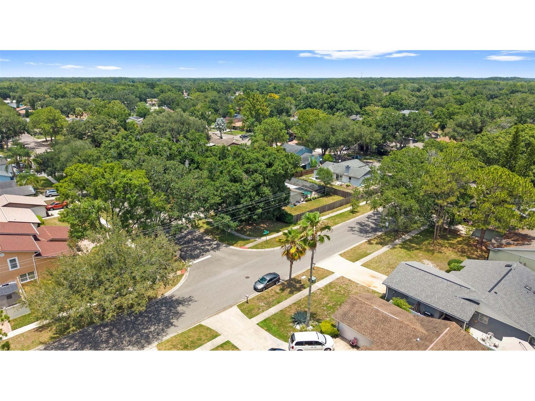 15701 Country Lake Drive Tampa FL 33624 TB8520696 image48