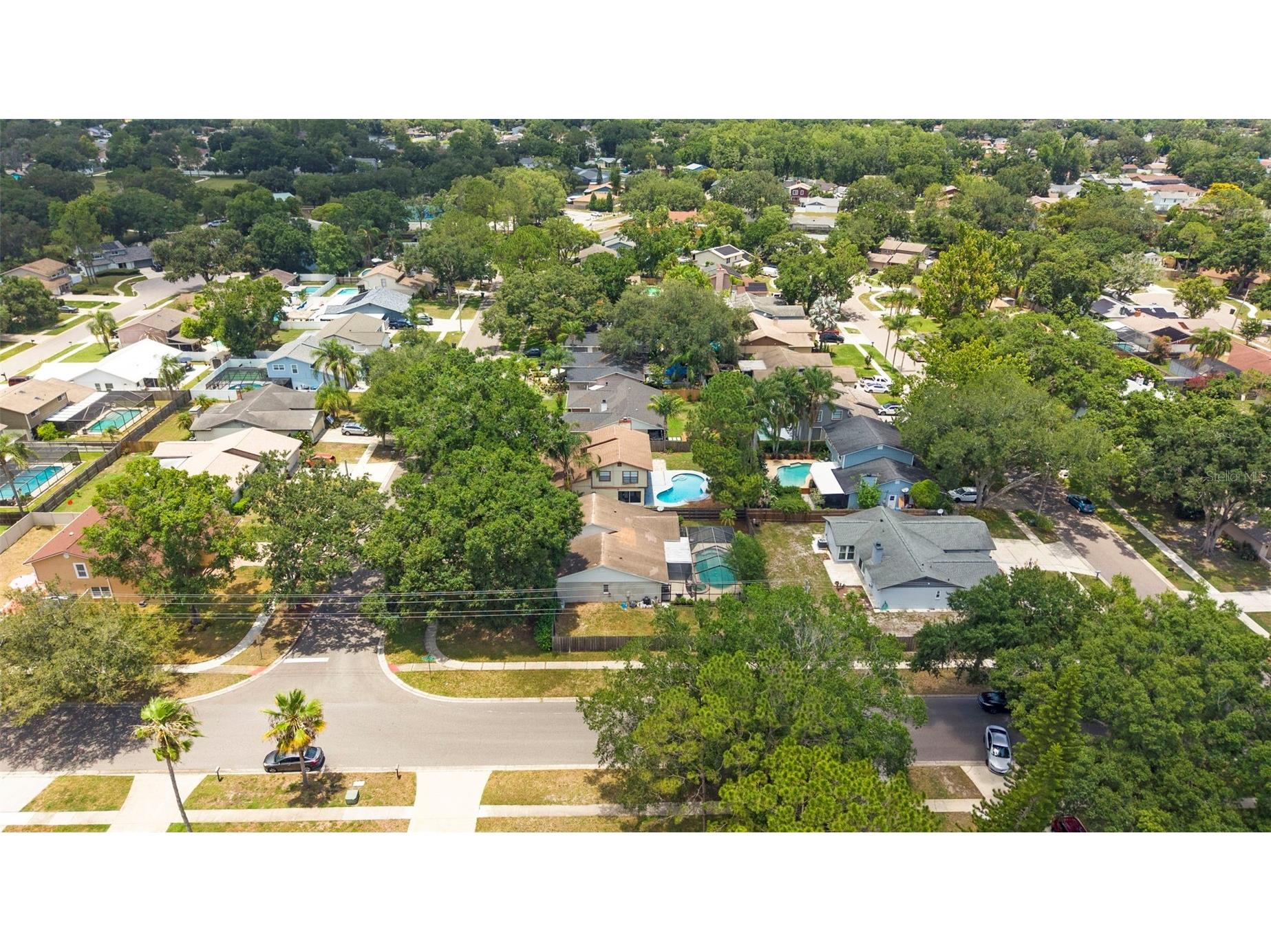 15701 Country Lake Drive Tampa FL 33624 TB8520696 image49