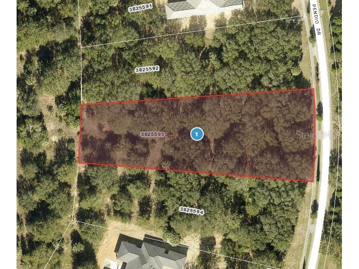 15702 Pendio Drive Montverde FL 34756 - LAKE SIENA G5077811 image1