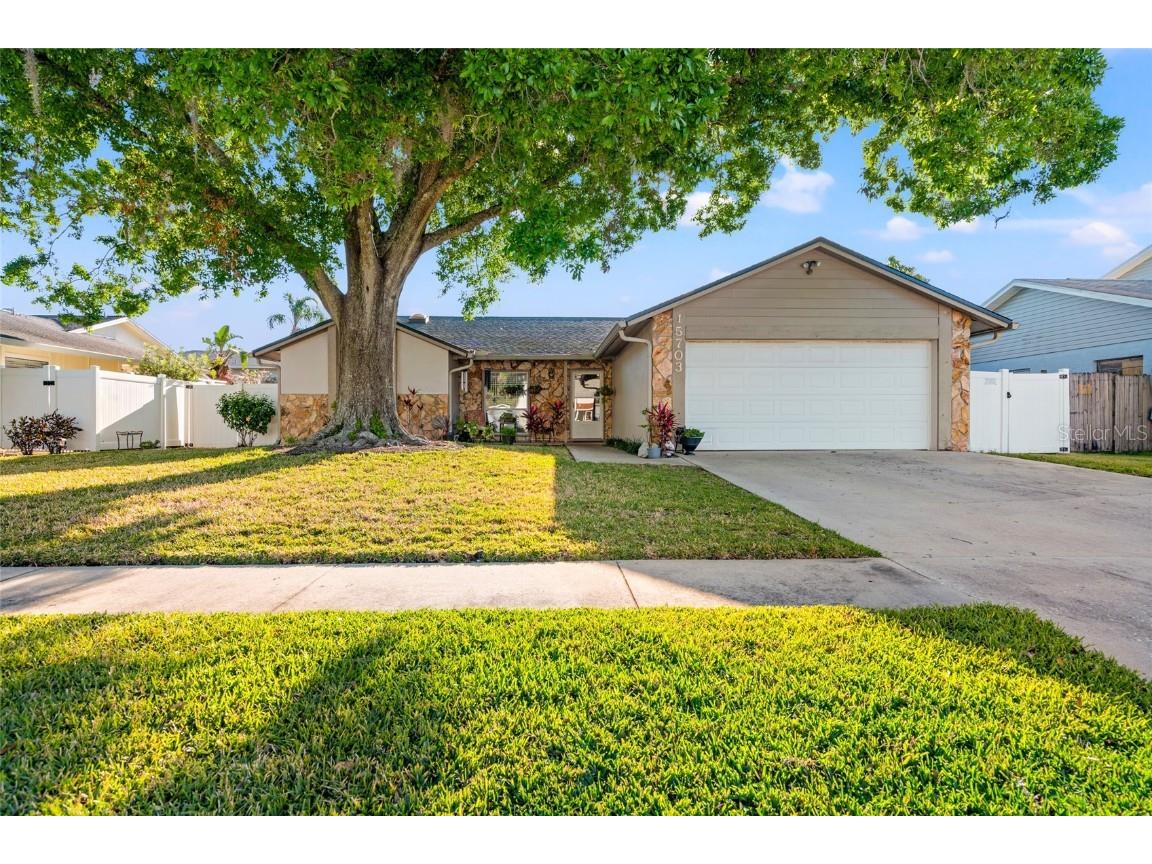 15703 Bovine Place Tampa FL 33624 TB8371233 image1