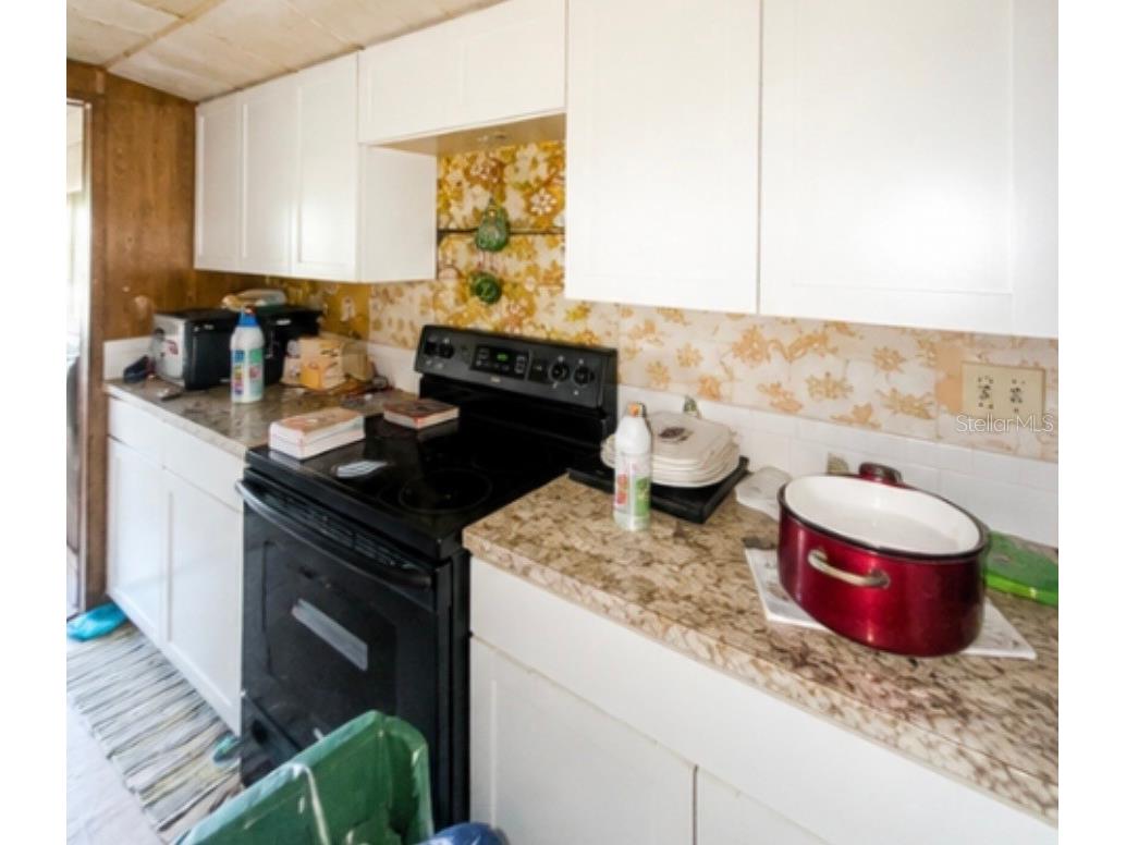 15708 Ruby Lane Hudson FL 34667 W7886487 image4