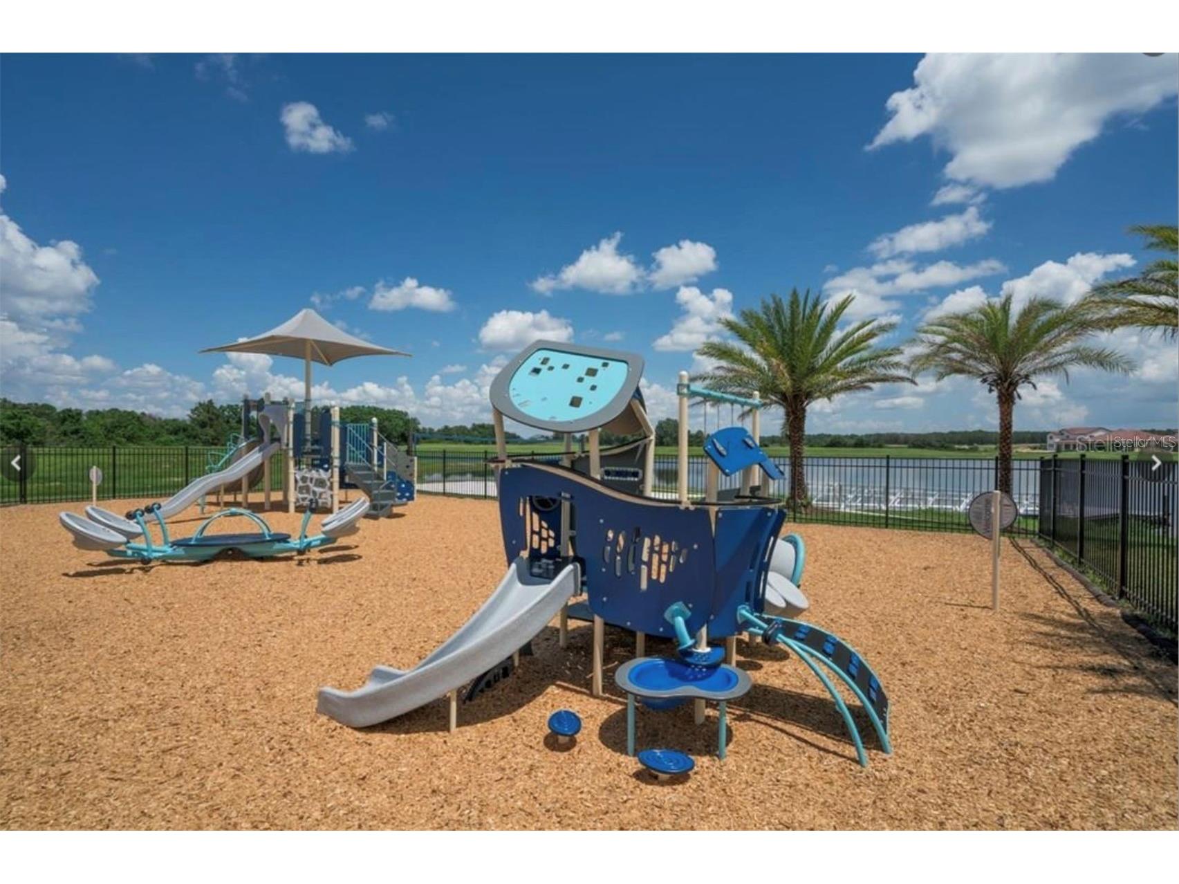 15709 Shorebird Lane Winter Garden FL 34787 - PANTHER LAKE O6420325 image47