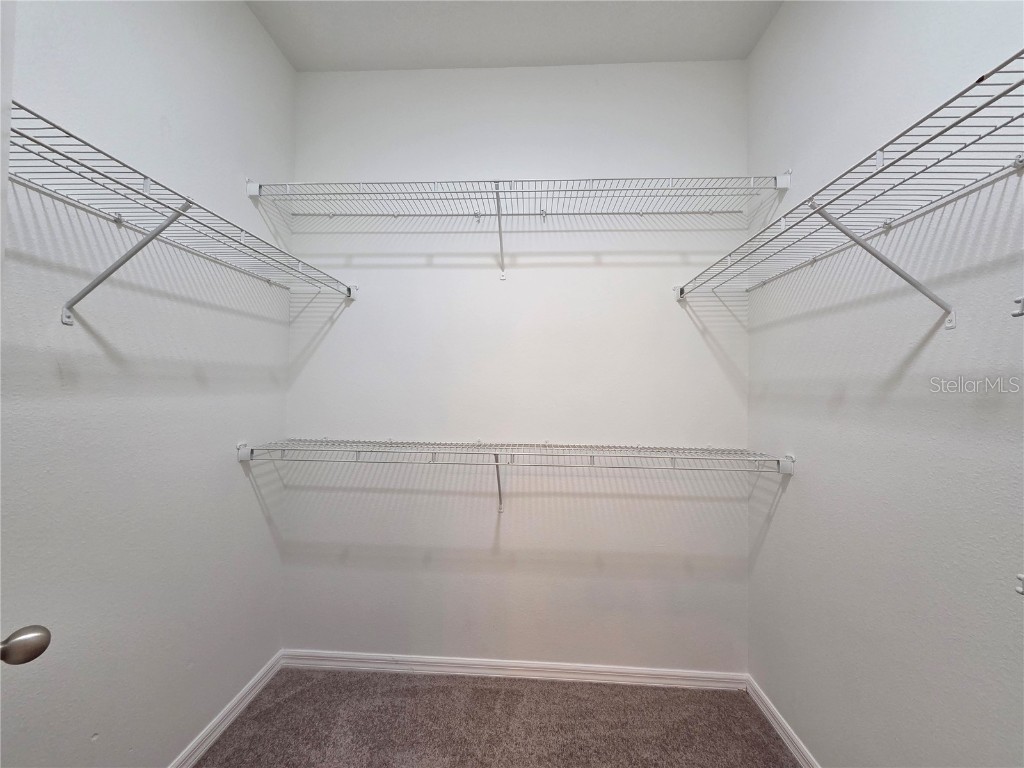 1571 Danisco Place Apopka FL 32703 O6364142 image15