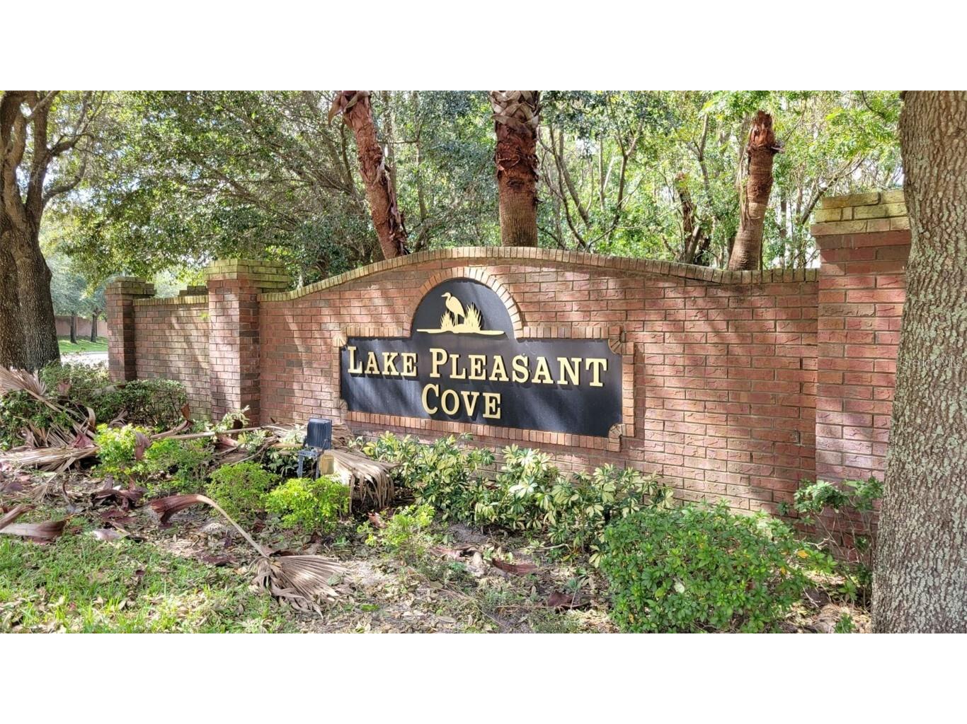 1571 Danisco Place Apopka FL 32703 O6364142 image26