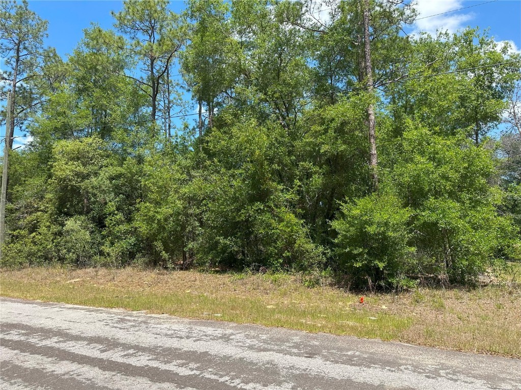 1571 W Alexander Drive Citrus Springs FL 34434 W7875472 image2