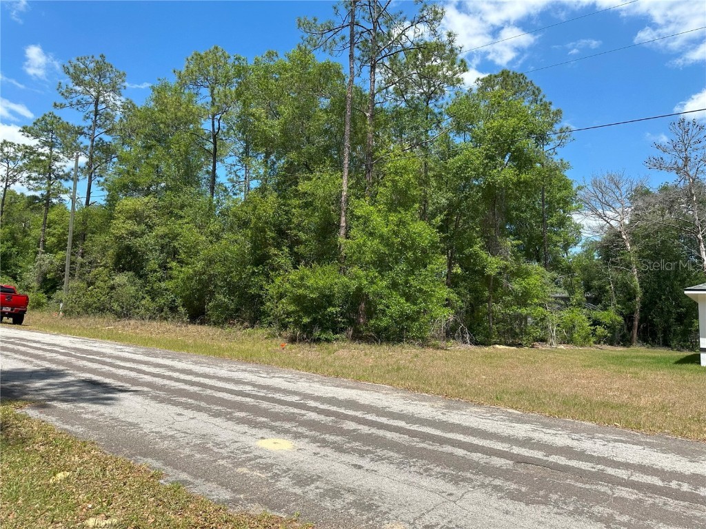 1571 W Alexander Drive Citrus Springs FL 34434 W7875472 image3