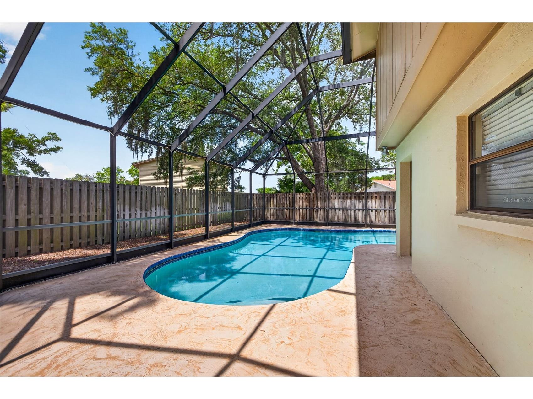 15710 Pinto Place Tampa FL 33624 TB8492076 image21