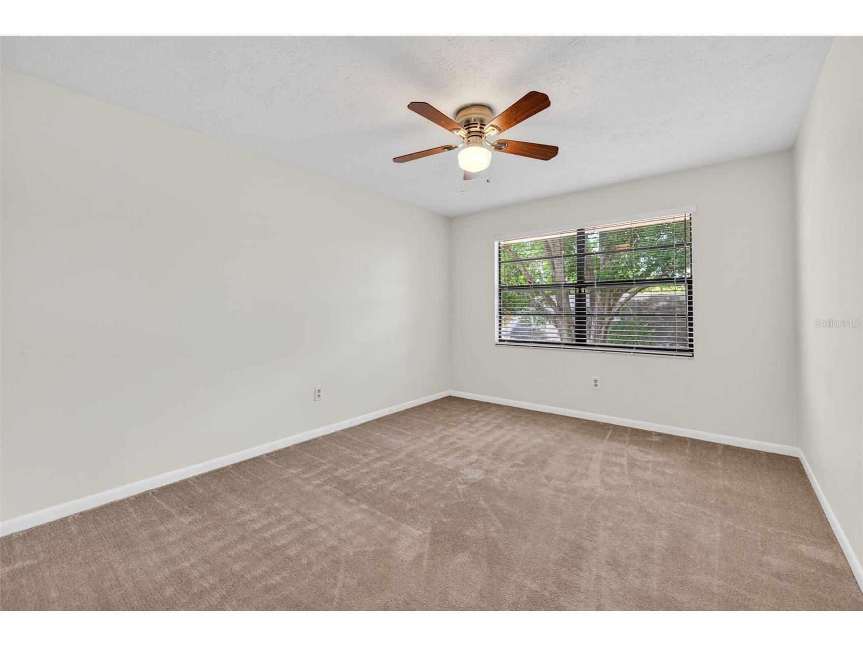 15710 Pinto Place Tampa FL 33624 TB8492076 image30