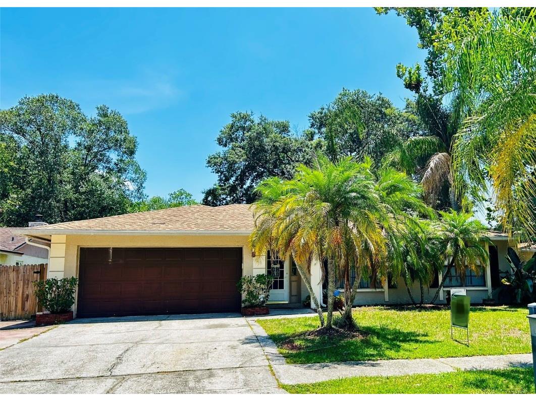 15711 Squirrel Tree Place Tampa FL 33624 T3456182 image1