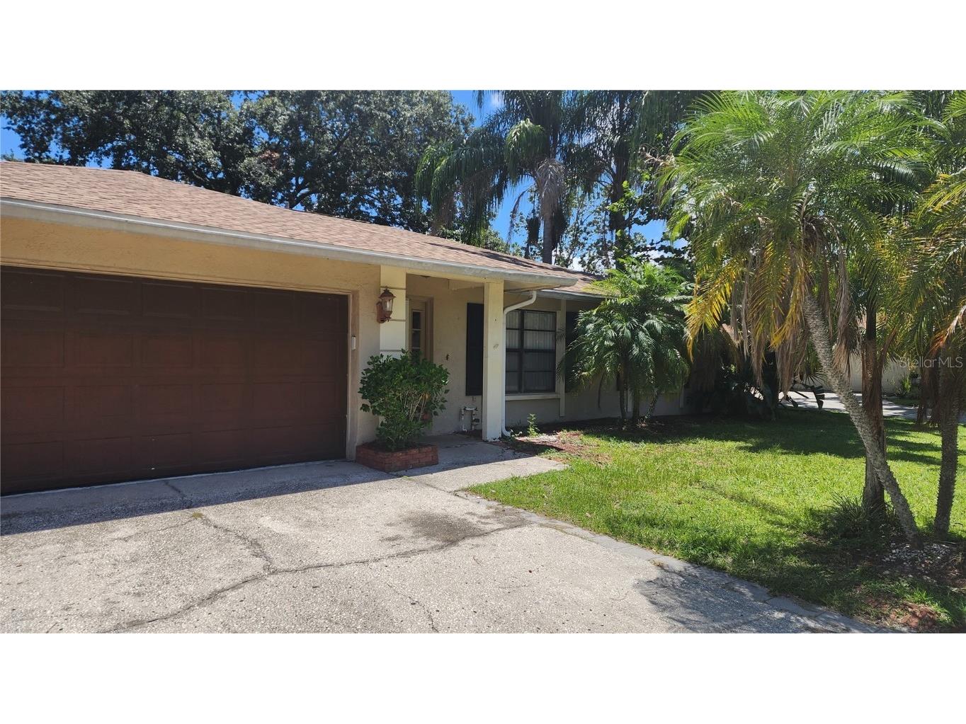 15711 Squirrel Tree Place Tampa FL 33624 T3465915 image1