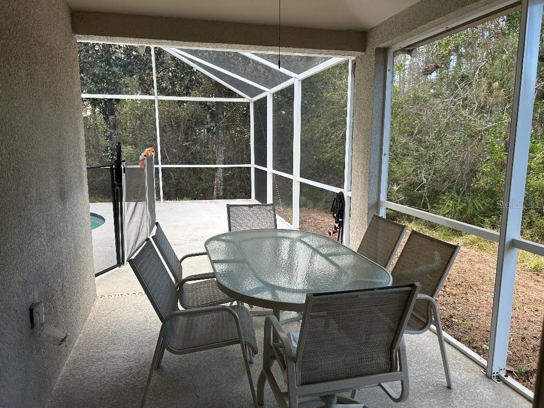 15712 Cedar Elm Terrace Land O Lakes FL 34638 TB8482581 image10