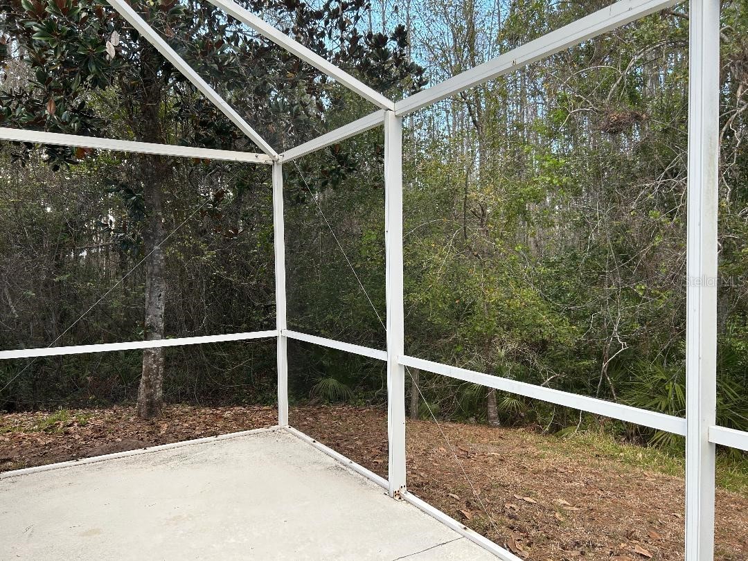 15712 Cedar Elm Terrace Land O Lakes FL 34638 TB8482581 image12